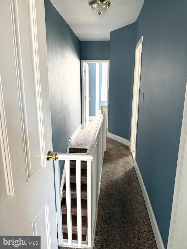 2302 E Albert St, Philadelphia, PA 19125 - hallway with baseboards and dark carpet