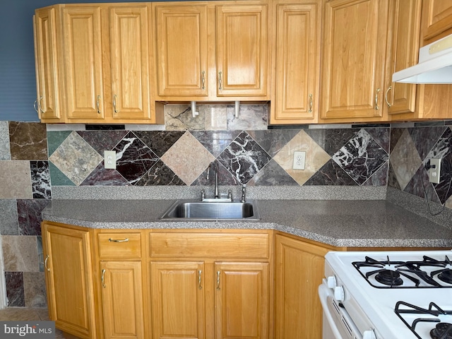 2302 E Albert St, Philadelphia, PA 19125 - kitchen featuring dark countertops, under cabinet range hood, tasteful backsplash, and a sink