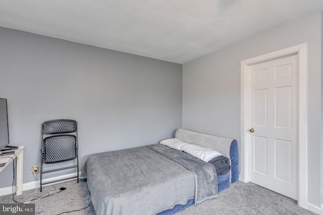 33 Miracle Dr, Williamstown, NJ 08094 - bedroom with carpet and baseboards