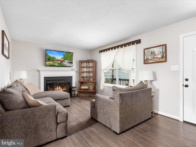 living room featuring a lit fireplace, wood finished floors, and baseboards