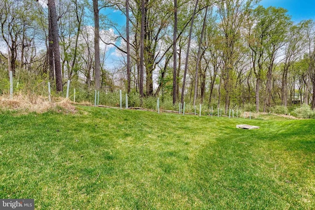 7679 Cross Creek Dr, Columbia, MD 21044 - view of green lawn