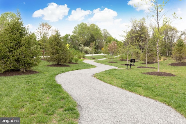 7679 Cross Creek Dr, Columbia, MD 21044 - view of community with a lawn