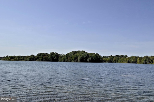 water view with a heavily wooded area