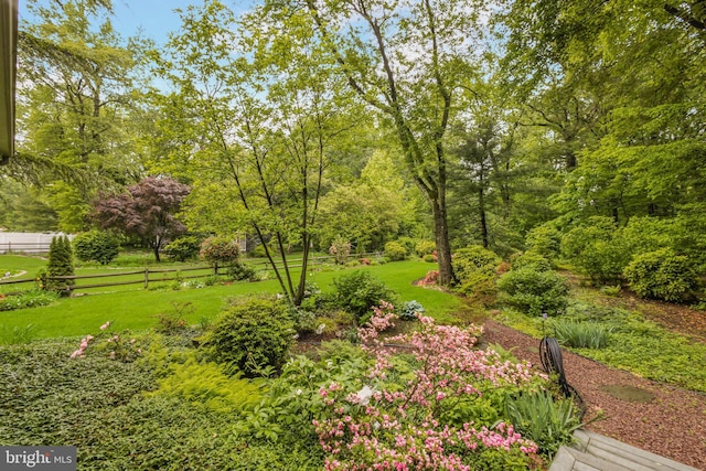 1149 Ollerton Rd, West Deptford, NJ 08066 - view of yard