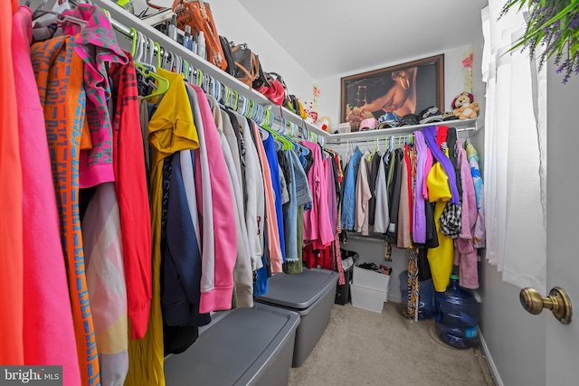 spacious closet featuring carpet flooring