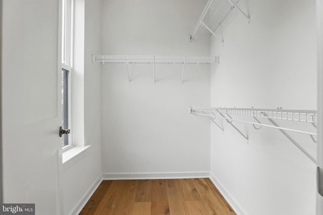 4140 Legato Rd Unit 47, Fairfax, VA 22033 - walk in closet with wood finished floors
