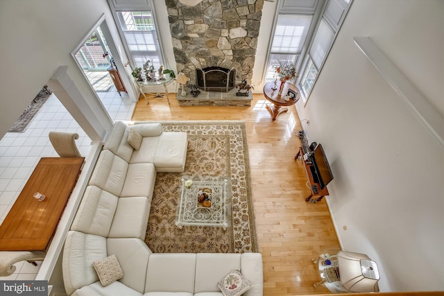 living area featuring wood finished floors and a fireplace