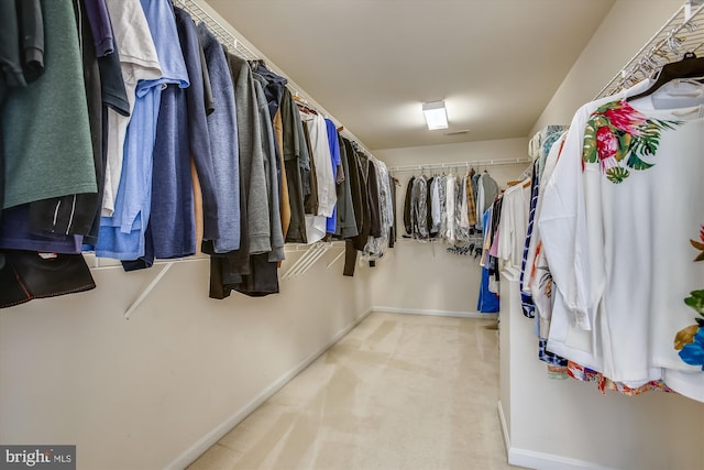 spacious closet featuring carpet floors