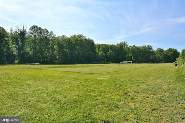 view of yard featuring an area for sports and a wooded view