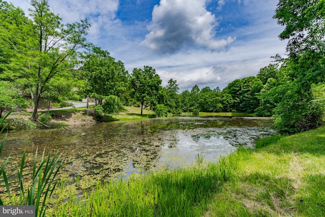 1276 Birch Grove Ln, Berkeley Springs, WV 25411 - water view featuring a heavily wooded area