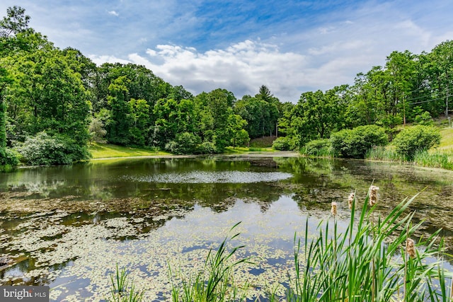 1276 Birch Grove Ln, Berkeley Springs, WV 25411 - water view featuring a heavily wooded area