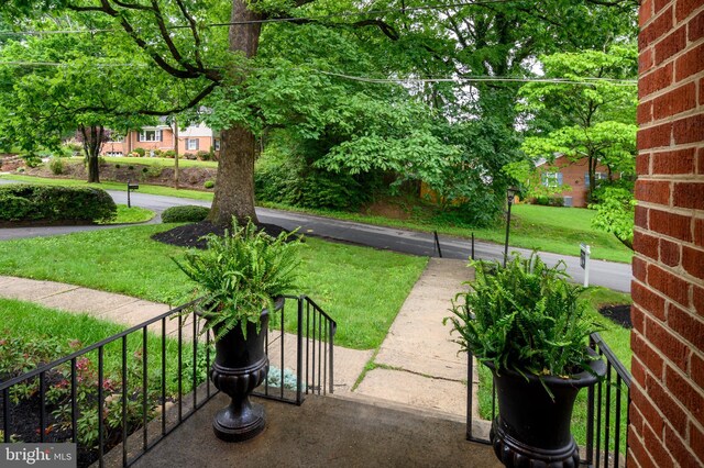 12904 Two Farm Dr, Silver Spring, MD 20904 - view of green lawn