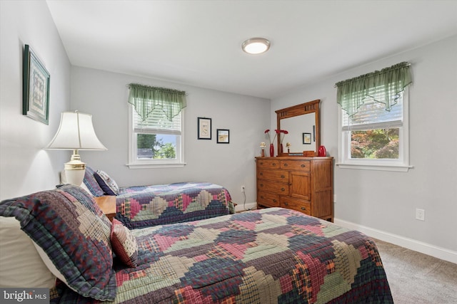 607 Jays Ln, Pottstown, PA 19464 - carpeted bedroom with multiple windows