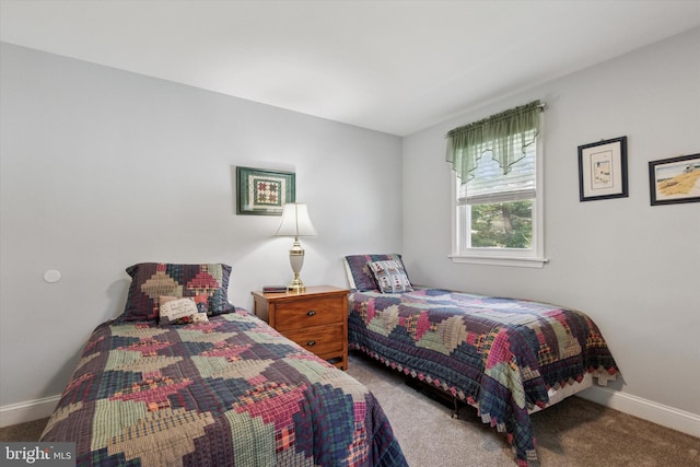 607 Jays Ln, Pottstown, PA 19464 - bedroom with carpet and baseboards