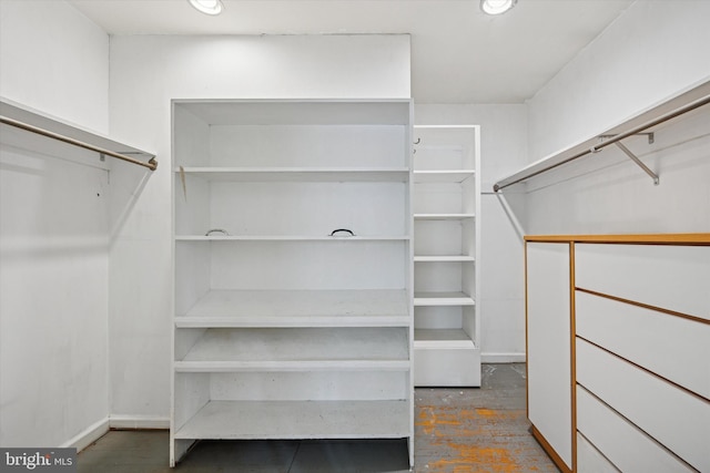 343 Michigan Ave, Swarthmore, PA 19081 - view of walk in closet