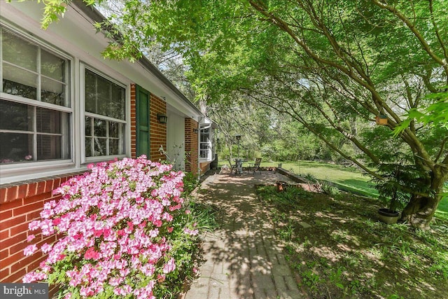 343 Michigan Ave, Swarthmore, PA 19081 - view of yard featuring a patio
