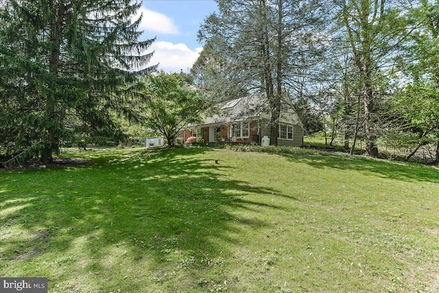 343 Michigan Ave, Swarthmore, PA 19081 - view of green lawn