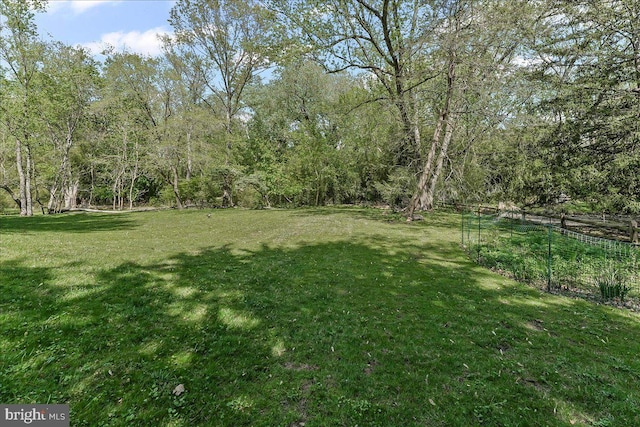 343 Michigan Ave, Swarthmore, PA 19081 - view of green lawn