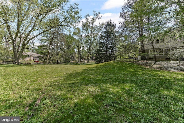 343 Michigan Ave, Swarthmore, PA 19081 - view of grassy yard
