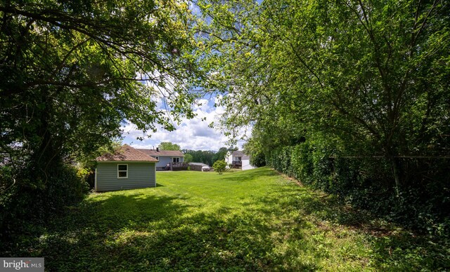 view of grassy yard