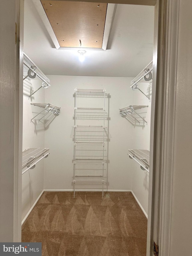 1341 Thornwood Dr, Mount Laurel, NJ 08054 - walk in closet with carpet floors