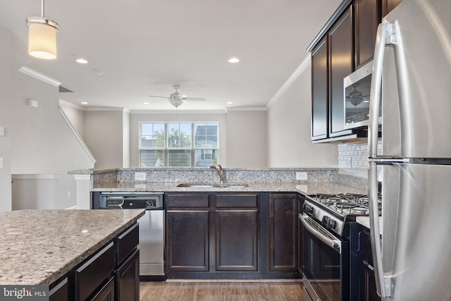 105 Poinsettia Way, Stephenson, VA 22656 - kitchen featuring stainless steel appliances, light wood-style flooring, a sink, a ceiling fan, and a peninsula