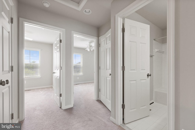 105 Poinsettia Way, Stephenson, VA 22656 - hallway featuring plenty of natural light, light colored carpet, and baseboards