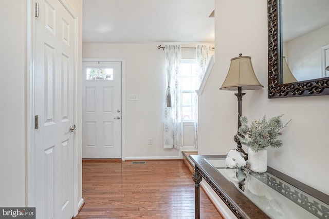 16 Rue Chagall, Mays Landing, NJ 08330 - entryway with baseboards, a healthy amount of sunlight, visible vents, and wood finished floors