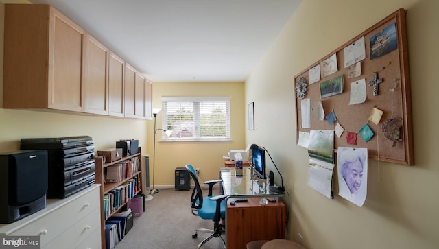 2141 Hidden Meadow Dr, Colmar, PA 18915 - office featuring light carpet and baseboards