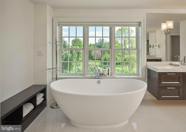 bathroom featuring vanity, plenty of natural light, and a freestanding bath