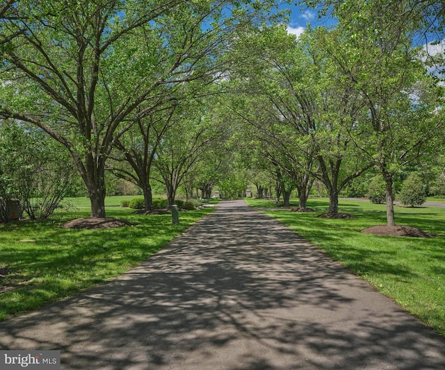 surrounding community with a yard