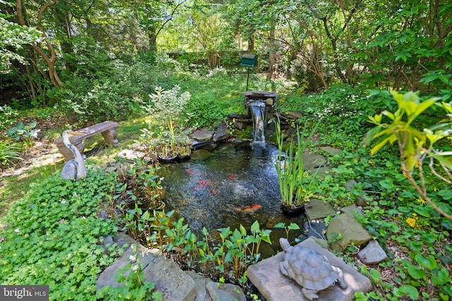 exterior view of a small pond