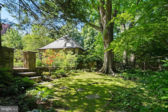 view of yard