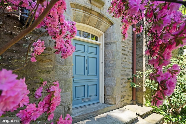 doorway to property featuring stone siding