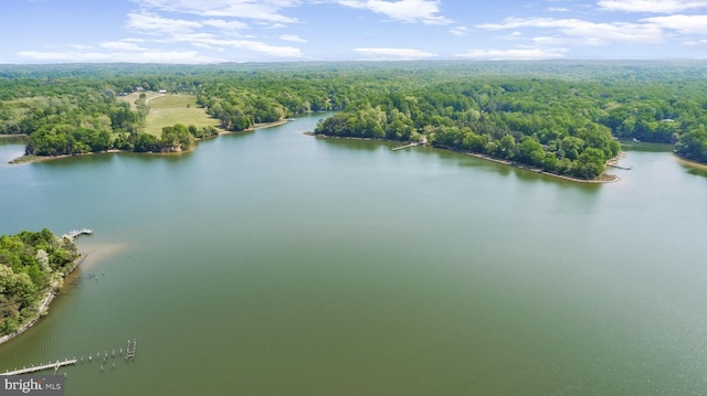 2031 Indian Cir, Saint Leonard, MD 20685 - aerial view featuring a water view and a forest view