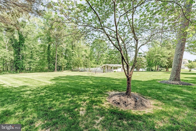 2031 Indian Cir, Saint Leonard, MD 20685 - view of yard