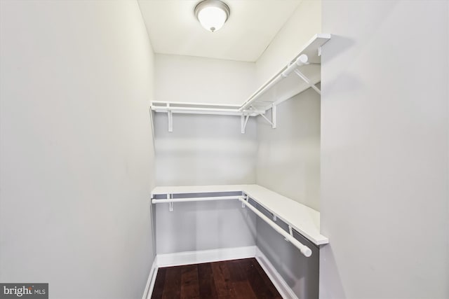 spacious closet with dark wood-style floors