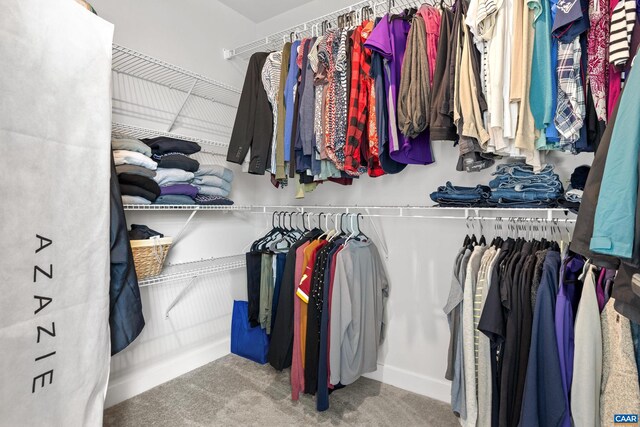 4286 Sunset Dr, Charlottesville, VA 22911 - walk in closet with carpet