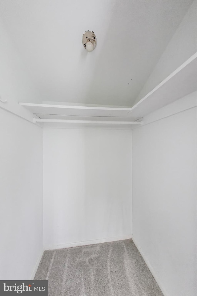 spacious closet with carpet and lofted ceiling