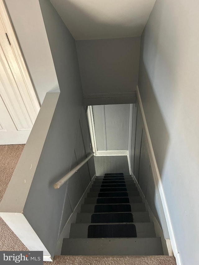staircase with carpet