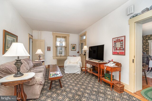 living area with radiator heating unit