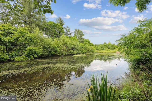 2327 London Bridge Dr, Silver Spring, MD 20906 - water view featuring a heavily wooded area
