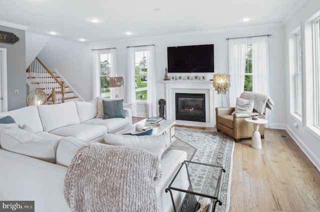 23336 Horse Island Rd, Lewes, DE 19958 - living area featuring baseboards, a glass covered fireplace, crown molding, and wood finished floors