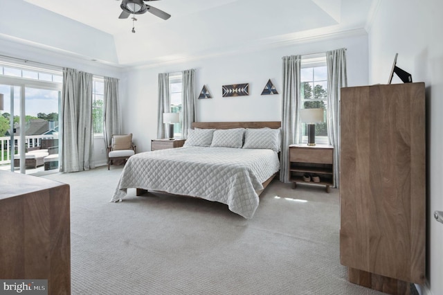 23336 Horse Island Rd, Lewes, DE 19958 - carpeted bedroom with a tray ceiling and multiple windows