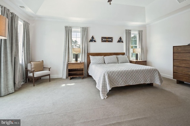23336 Horse Island Rd, Lewes, DE 19958 - bedroom with light colored carpet, visible vents, baseboards, and a raised ceiling