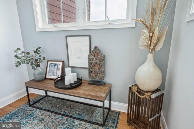 23336 Horse Island Rd, Lewes, DE 19958 - room details with baseboards and wood finished floors