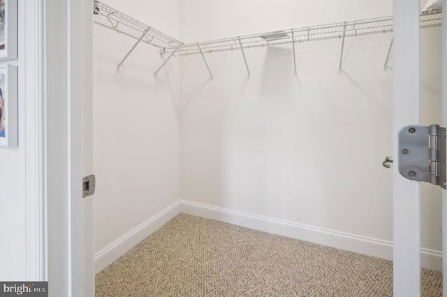 23336 Horse Island Rd, Lewes, DE 19958 - walk in closet featuring carpet floors