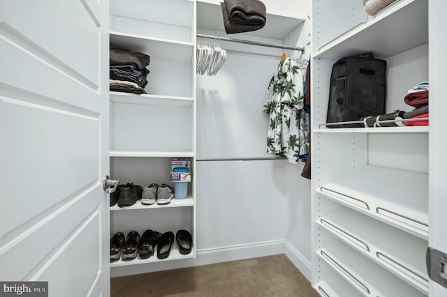 23336 Horse Island Rd, Lewes, DE 19958 - spacious closet featuring carpet