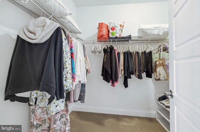 23336 Horse Island Rd, Lewes, DE 19958 - walk in closet featuring carpet
