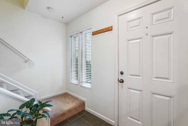 1211 Hesselius Ct, Annapolis, MD 21403 - doorway to outside with healthy amount of natural light, baseboards, dark tile patterned floors, and dark colored carpet